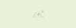 annadanam_divider