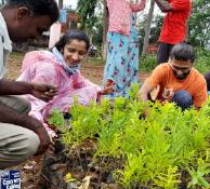 Pioneering Effort: 9 Nurseries for Farmers in Karnataka