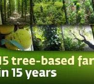 A look at 15 farms that have transitioned to tree-based farming in the last 15 years