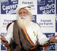 From Forest to Farm 