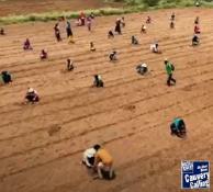 Greening Krishnagiri: A Collective Leap Forward