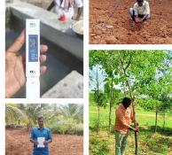 Tree-Based Support, Right on the Farm