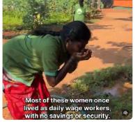 Cauvery Calling’s nursery workforce making 10+ million trees possible every year
