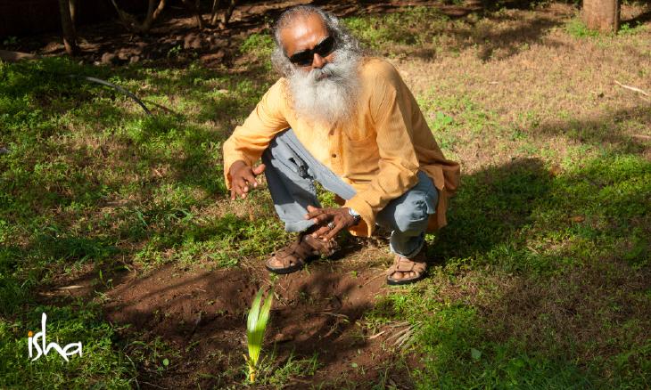 saving-indias-soil-through-better-farming