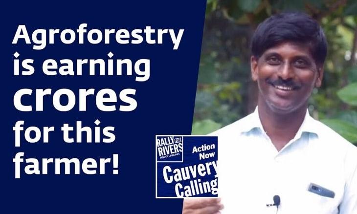 Cauvery-Calling-Agroforestry-is-earning-crores-for-this-farmer