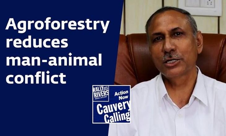 Cauvery-Calling-Agroforestry-reduces-man-animal-conflict