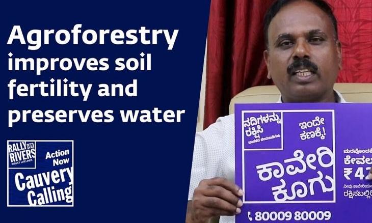 Cauvery-calling-agroforestry-improves-soil-fertility-and-preserves-water