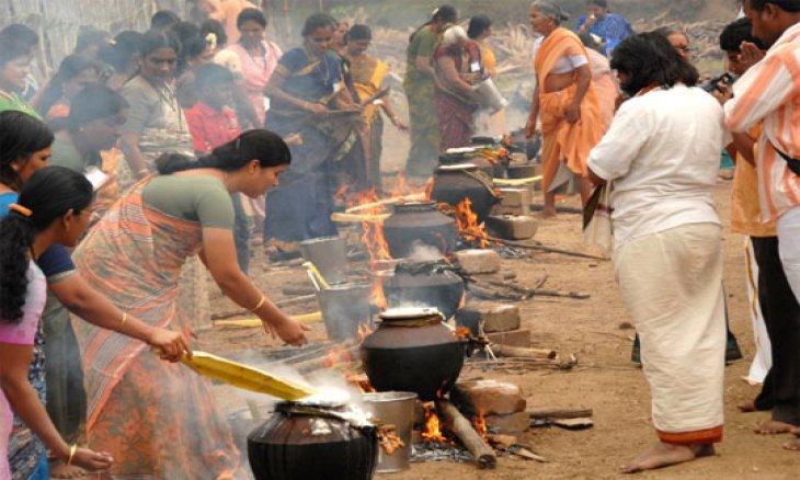 pongal celebrations
