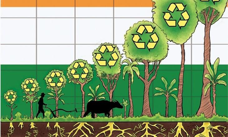 Agroforestry Economics