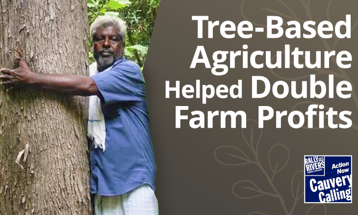 How An ‘Ordinary’ Farmer Reaped Extraordinary Returns Through Tree-Based Farming