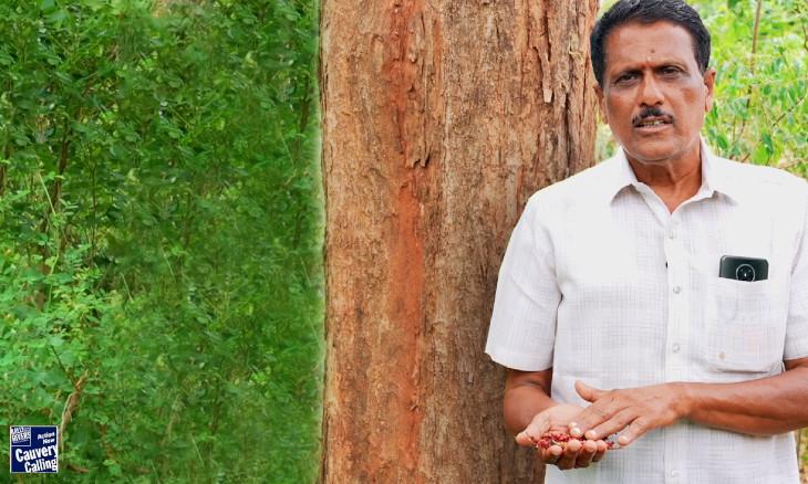 Rosewood Triumph: The Success Story of Ramesh Raja's Tree Cultivation