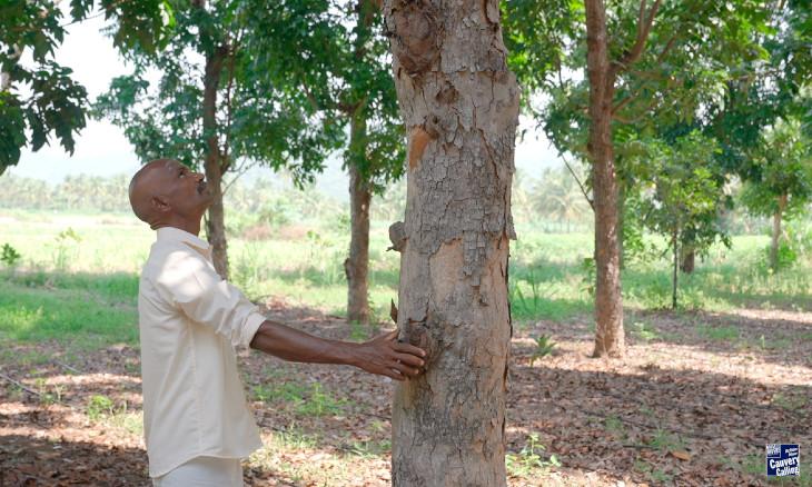 Periannan's Green Revolution: A Farmer's Tale of Sustainable Success