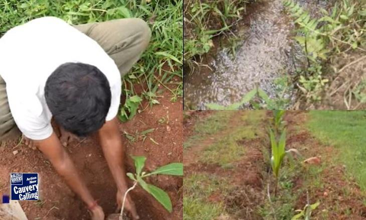 Unlocking the Potential of Rainwater Trenches for Farmers