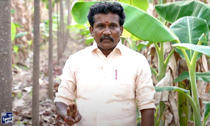 Sowing Success: Velankanni's Sustainable Harvest with Mahogany
