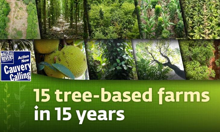 A look at 15 Farms that have transitioned to Tree-Based Farming in the last 15 years.