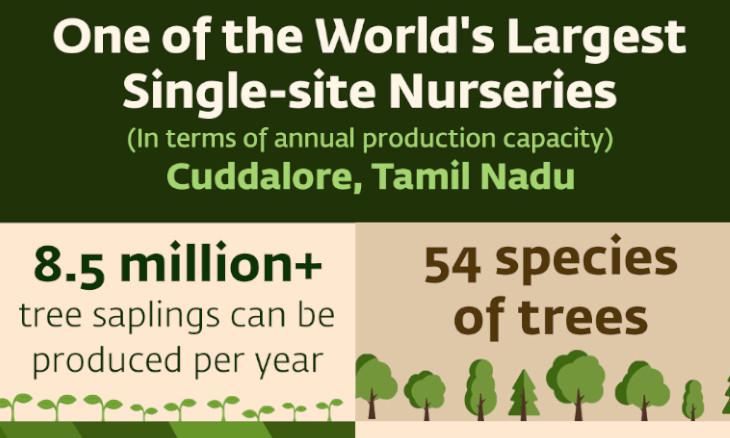 Sowing Seeds of Change: The Cuddalore Nursery's Role in Empowering Women and Nurturing the Environment 