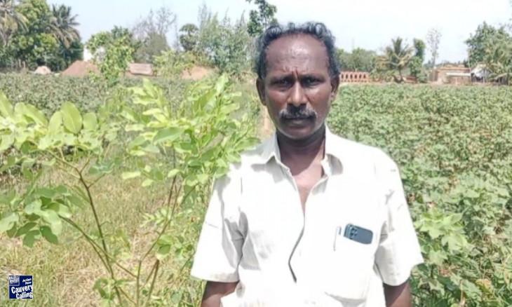  Branching Out: The Transformation of Farmland to Forest Wealth | Anandhan Thiruvenkaadu