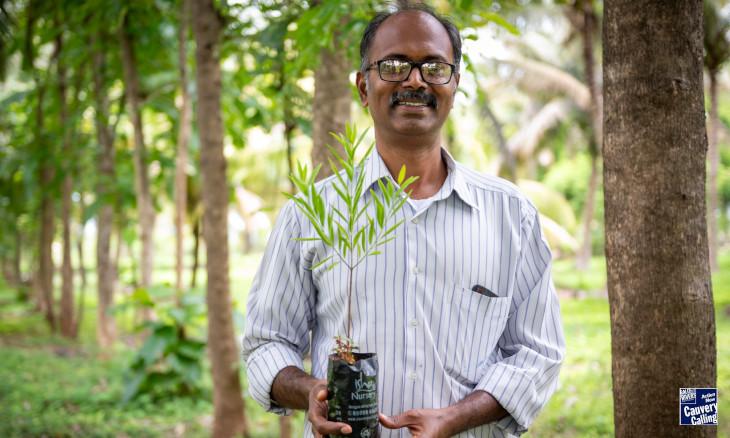 Why Plant Trees at the Borders of Your Farm? The Benefits Every Farmer Should Know!