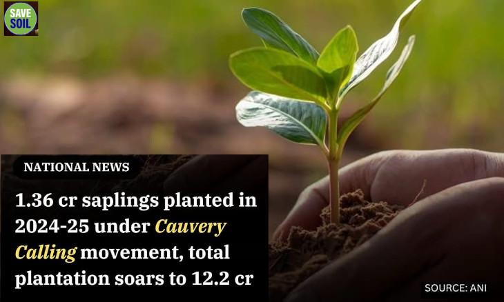 13.6 million saplings planted in 2024 - 25 under Cauvery Calling movement, total plantation soars to 122 million