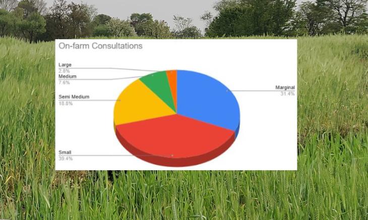 Farm Advisory Summary