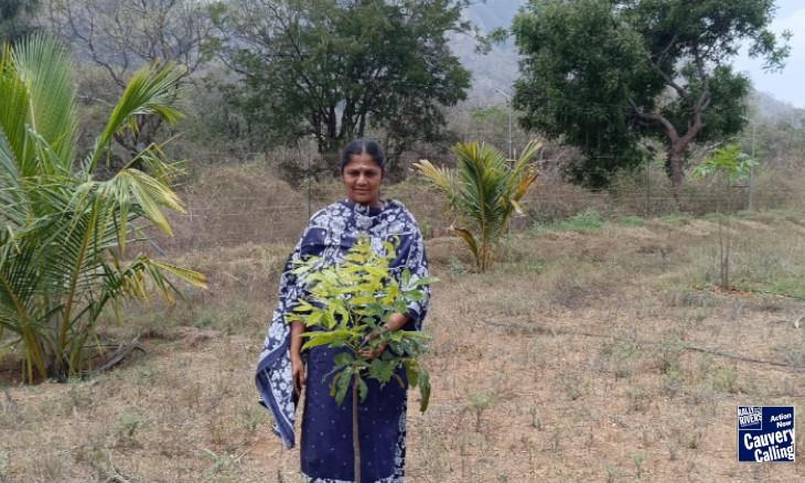 Sharings from 1-Year-Old Tree Planters
