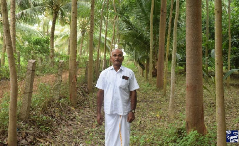 A Teacher’s Timber Triumph: ₹15 Lakh from Just One Acre
