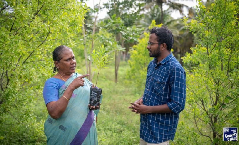 Tree-Based Support, Right on the Farm