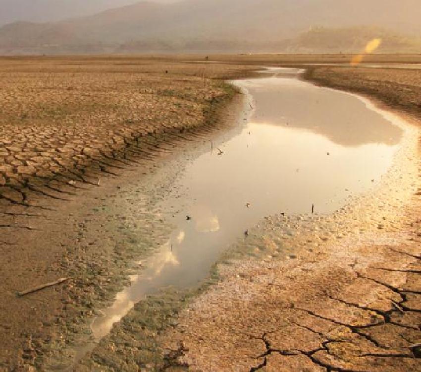 Cauvery Calling - Isha Medavakkam
