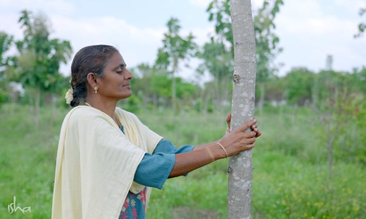 From Monotony to Meaning: An Engineer's Journey into Tree-Based Farming