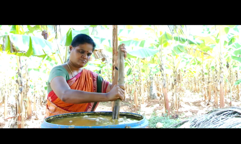 Farmer Krishnaveni | Zero Budget Natural Farming | Jeevamrutham | Save Soil Regeneration