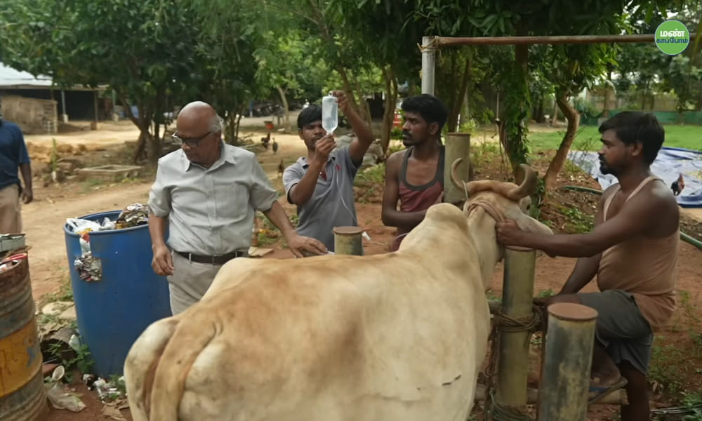 Native Cow | From Dentistry to Dairy: Sampath's 12-Year Journey in Zero-Budget Natural Farming