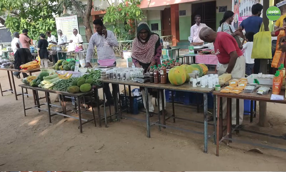 From Corporate Life to Natural Fields: The Thamira Farmers Producer Group Story