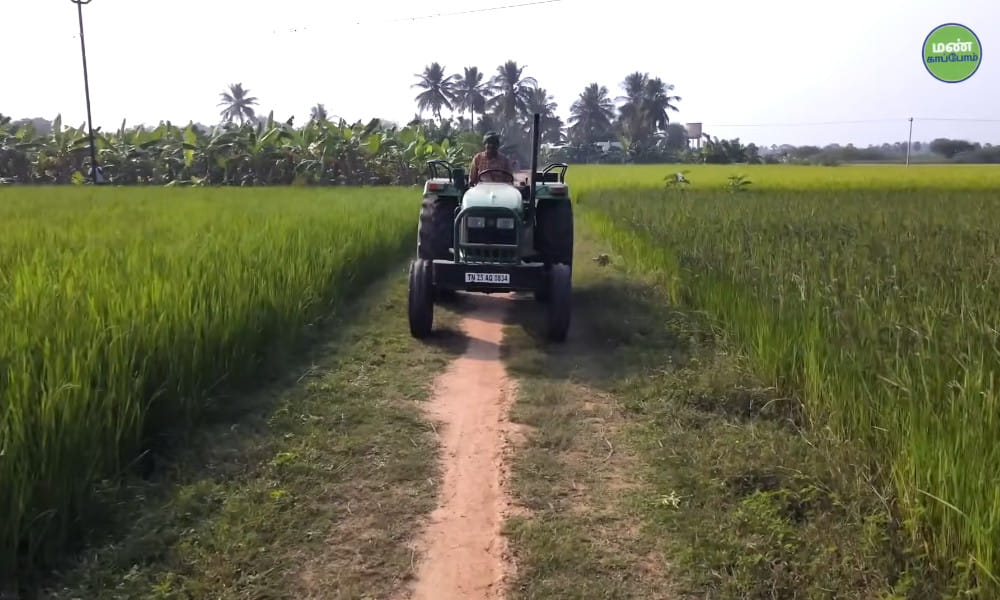 Thulasidasan's Journey: High Yields and Profits with Athur Kichili Samba and Natural Farming