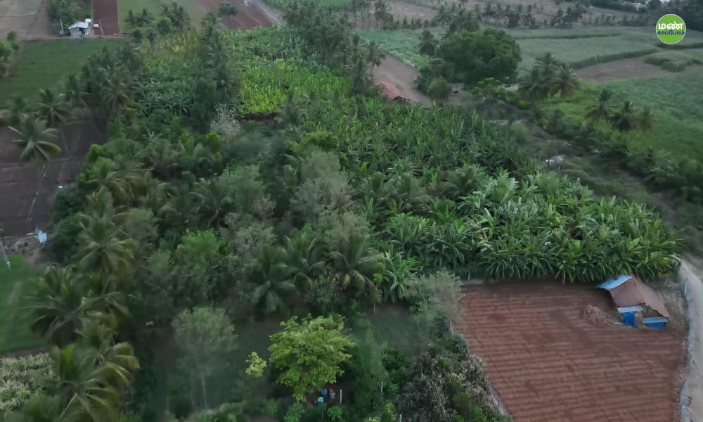 Farmer Koora Amasaiyappan Ramasamy | Ullavagam Six Year Journey Natural Farming