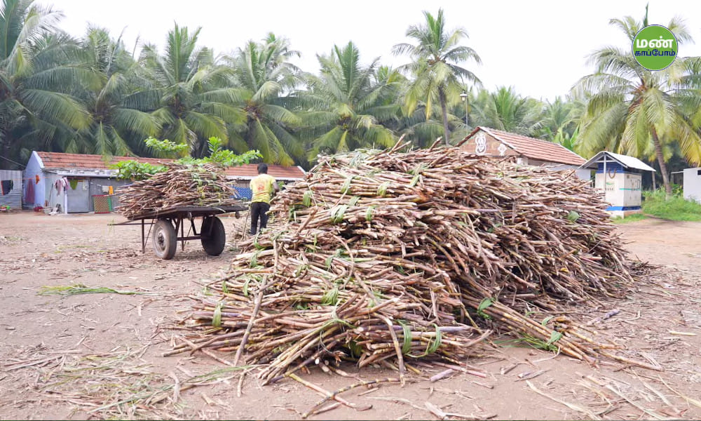 Save Soil Regeneration | Natural Farmer Dhanapal
