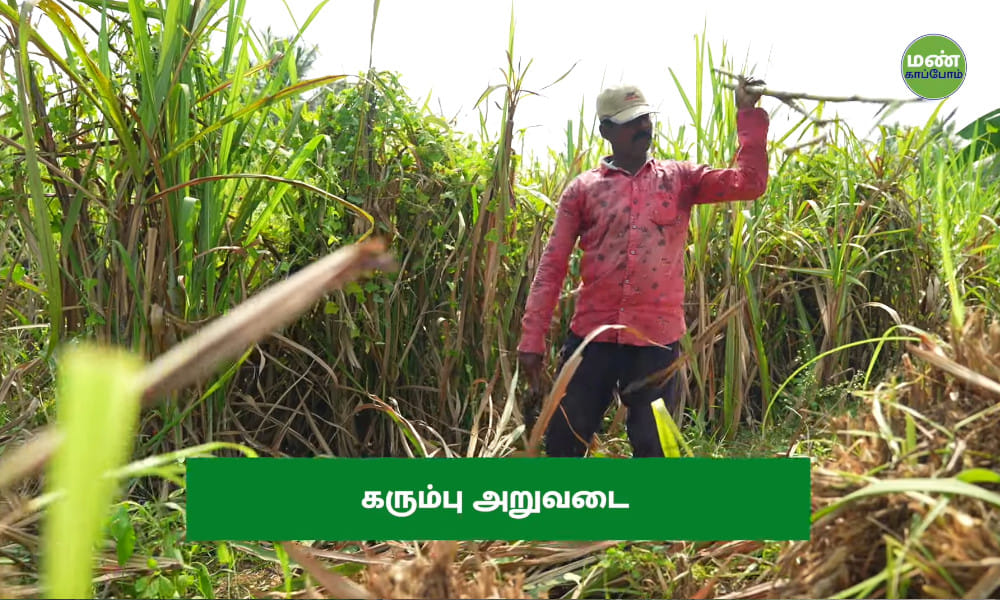 Save Soil Regeneration | Natural Farmer Dhanapal
