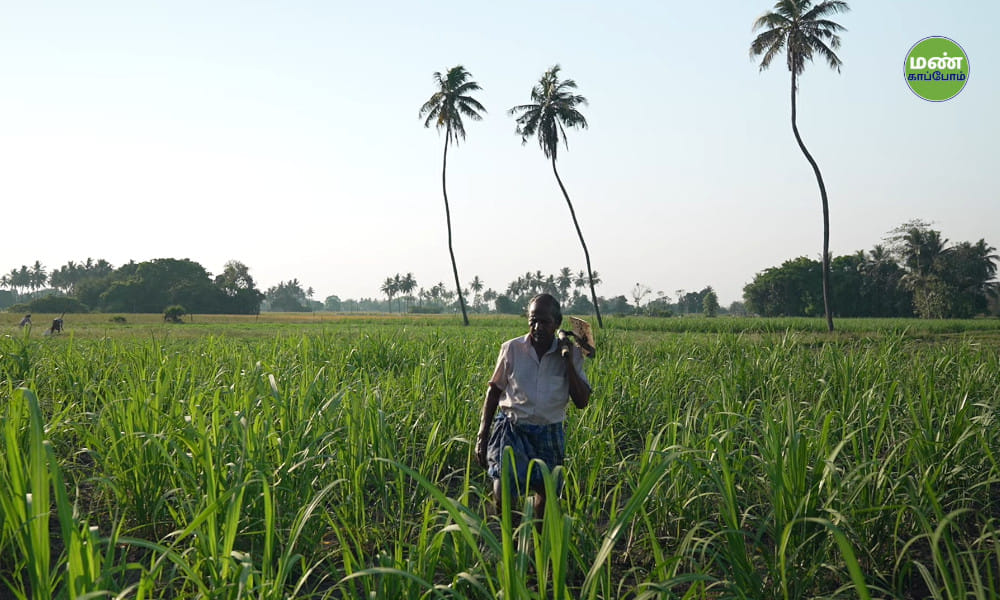 Save Soil Regeneration | Natural Farmer Dhanapal
