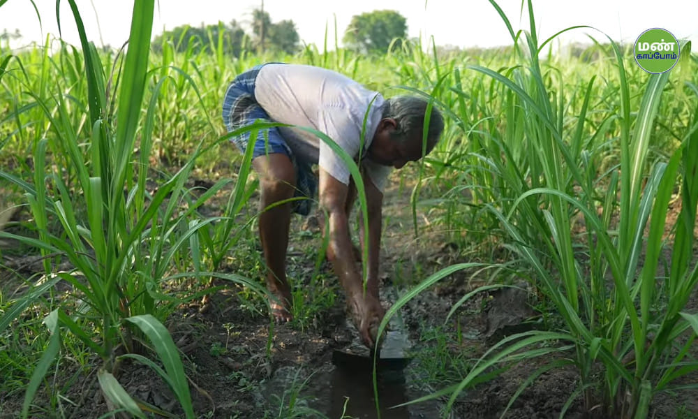 Save Soil Regeneration | Natural Farmer Dhanapal