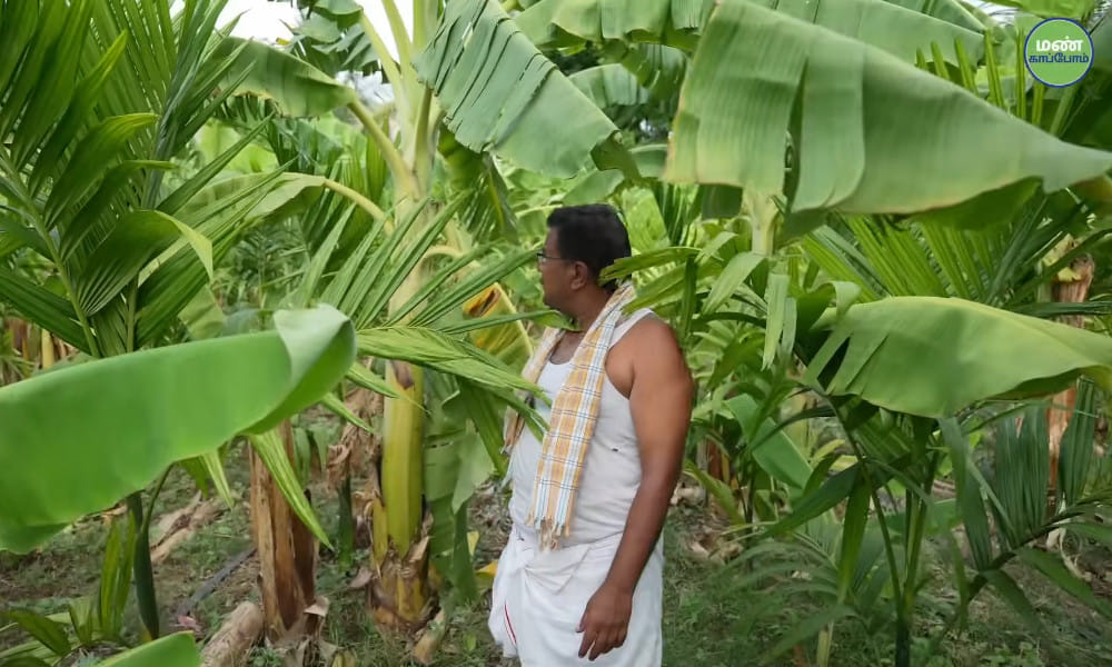 Save Soil Regeneration | Farmer Amarnath | Natural Farming Success Story