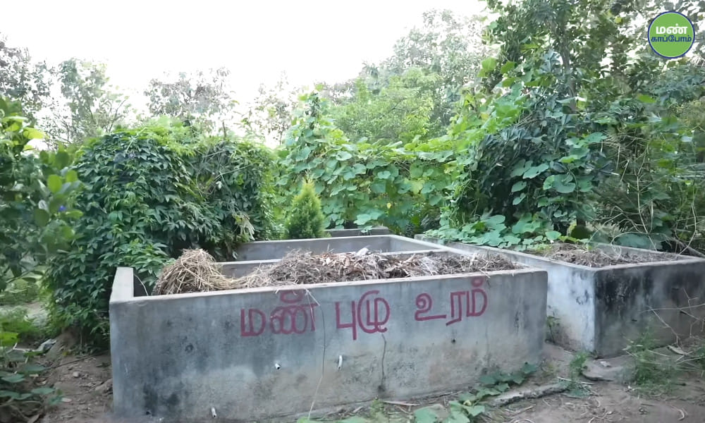 Farmer Manivannan of Thiruvannamalai | 45 years Natural Farming | Success Story | Save Soil Regeneration