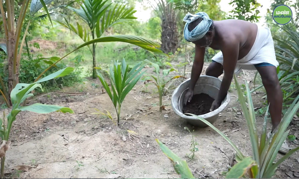 Farmer Manivannan of Thiruvannamalai | 45 years Natural Farming | Success Story | Save Soil Regeneration