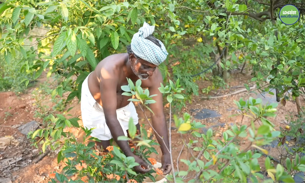 Farmer Manivannan of Thiruvannamalai | 45 years Natural Farming | Success Story | Save Soil Regeneration
