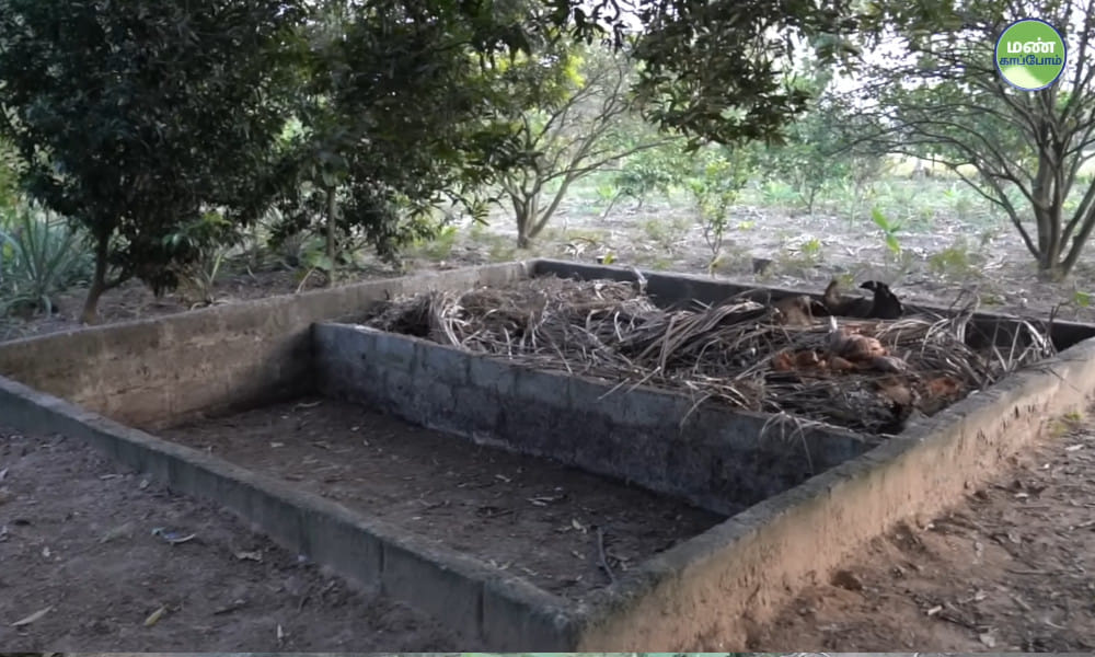 Farmer Manivannan of Thiruvannamalai | 45 years Natural Farming | Success Story | Save Soil Regeneration