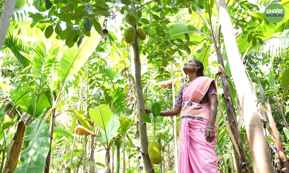 Transforming Agriculture Through Value Addition and Five-Layer Farming | Farmer Shyamala