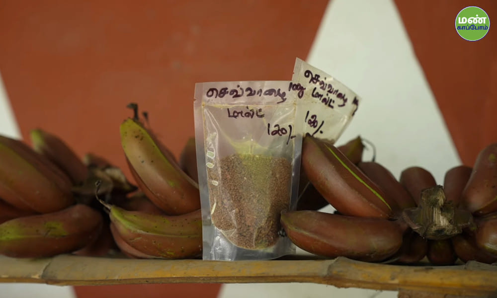 Transforming Agriculture Through Value Addition and Five-Layer Farming | Farmer Shyamala