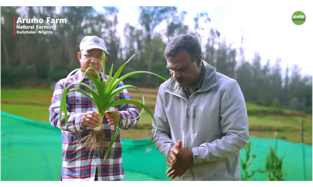 From Chemical Fertilizers to Natural Farming: Ramesh’s Success Story in the Nilgiris From Chemical Fertilizers to Natural Farming: Ramesh’s Success Story in the Nilgiris