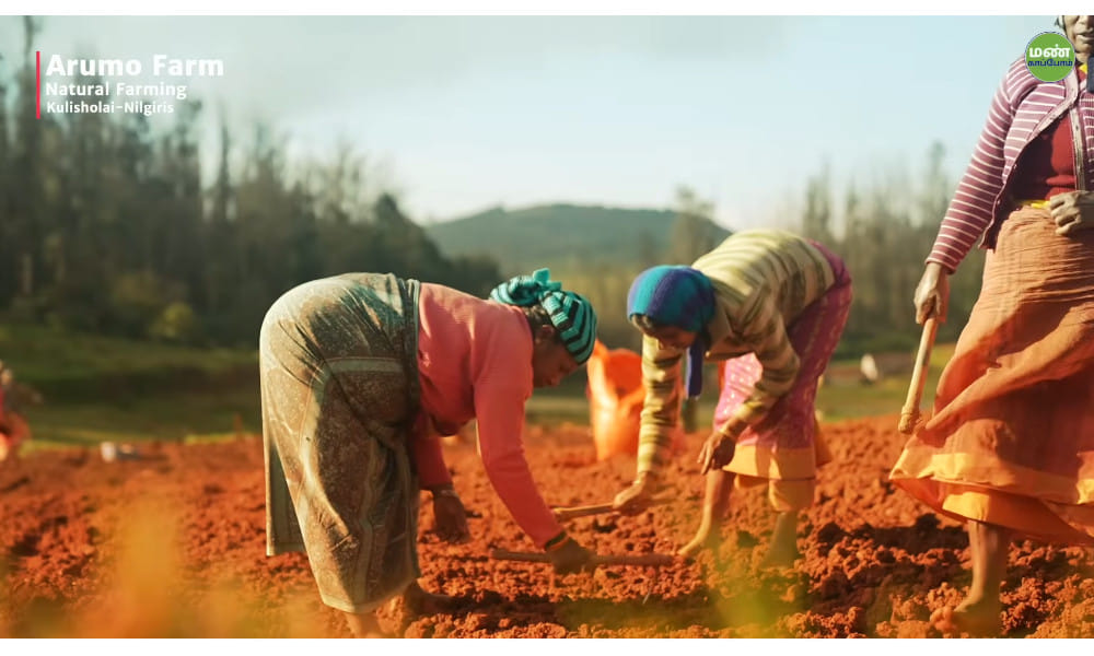 From Chemical Fertilizers to Natural Farming: Ramesh’s Success Story in the Nilgiris From Chemical Fertilizers to Natural Farming: Ramesh’s Success Story in the Nilgiris