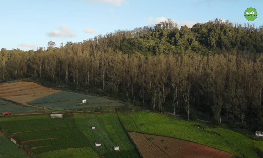 A Way of Life: Ilanchezhiyan’s Success with Natural Farming | Save Soil A Way of Life: Ilanchezhiyan’s Success with Natural Farming | Save Soil