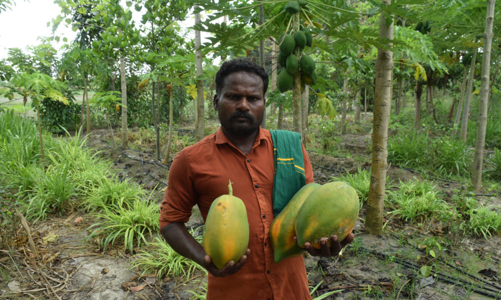 Farmer Poovendran | Cauvery calling | Natural farming | Success Story