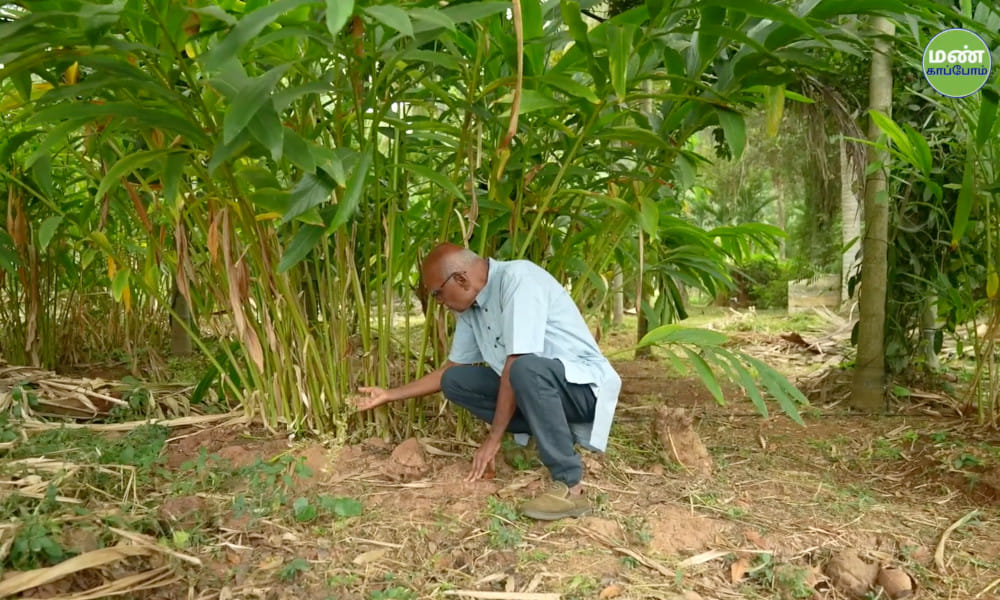 Farmer-Shri-Sivanananjaya-Balekayi-Natural-Farming-43years